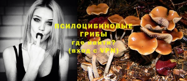 спайс Алзамай